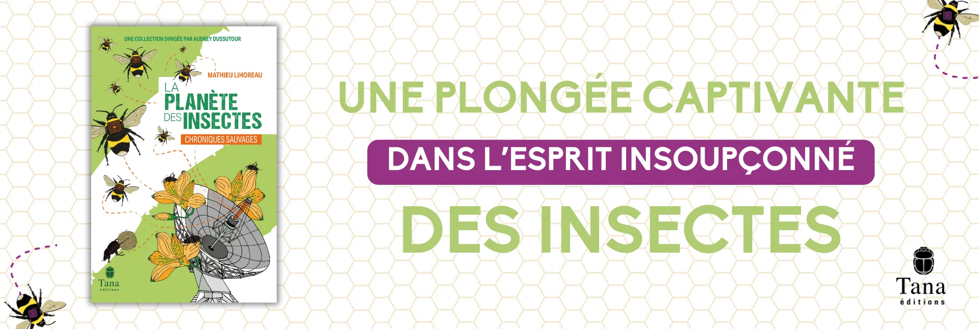 La planète des insectes