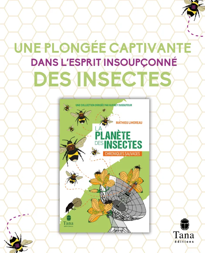 La planète des insectes