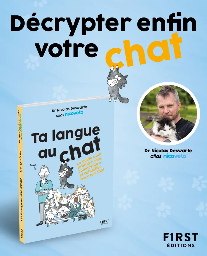 Ta Langue au Chat