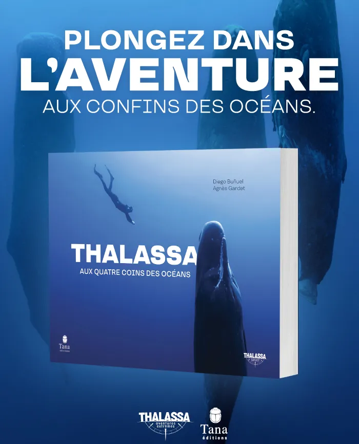 Thalassa - Aux conflits des océans Diego Buñuel
