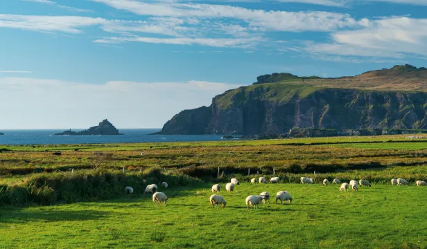 Sélection Irlande