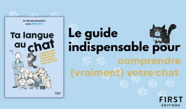 Ta Langue au Chat