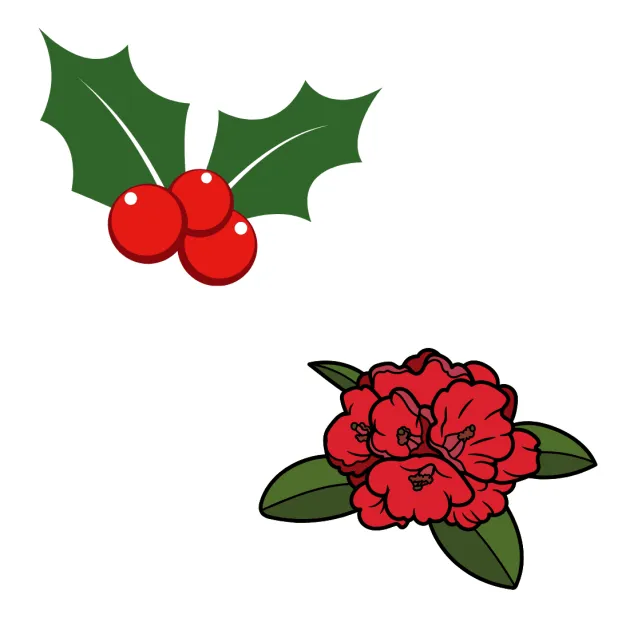 Houx et rhododendron